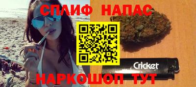 прущие грибы Гусев