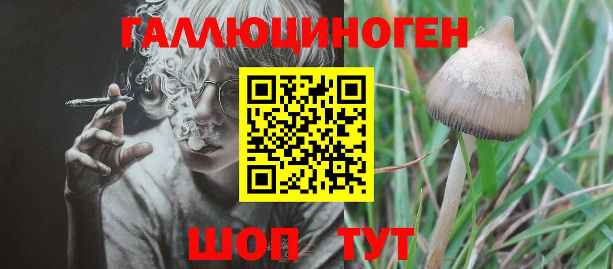 Псилоцибиновые грибы прущие грибы Когалым